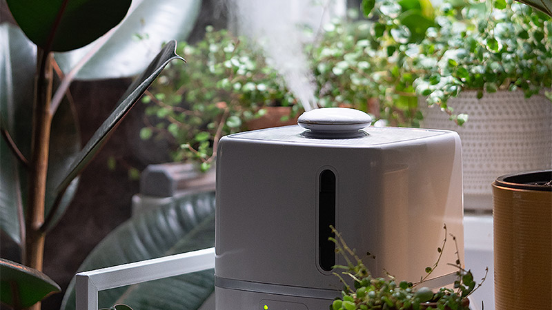 Ozonbehandlung in Düsseldorf | Gerüche effektiv entfernen