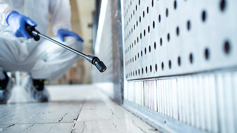 Kaltvernebelung & Raumdesinfektion in Düsseldorf